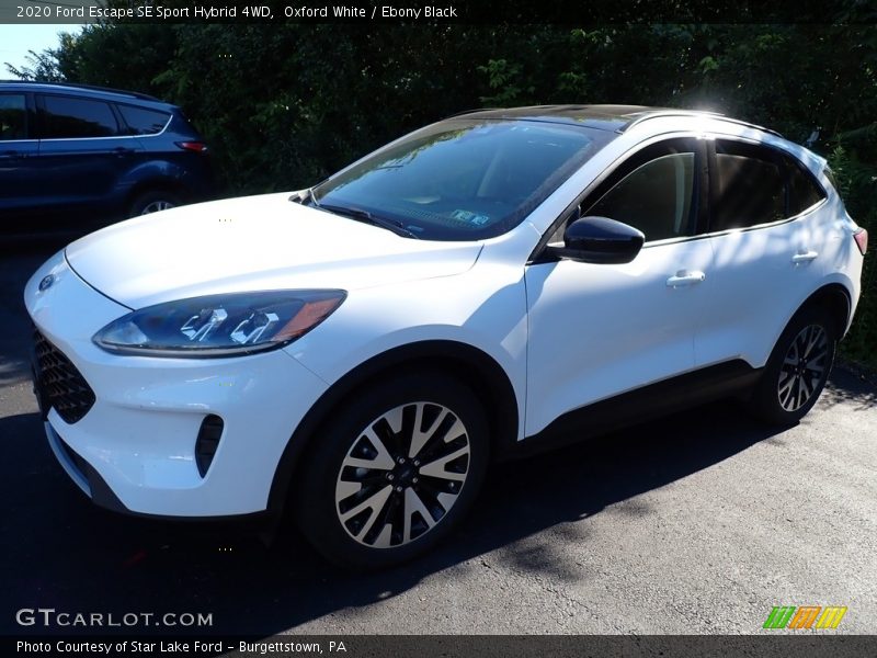 Oxford White / Ebony Black 2020 Ford Escape SE Sport Hybrid 4WD