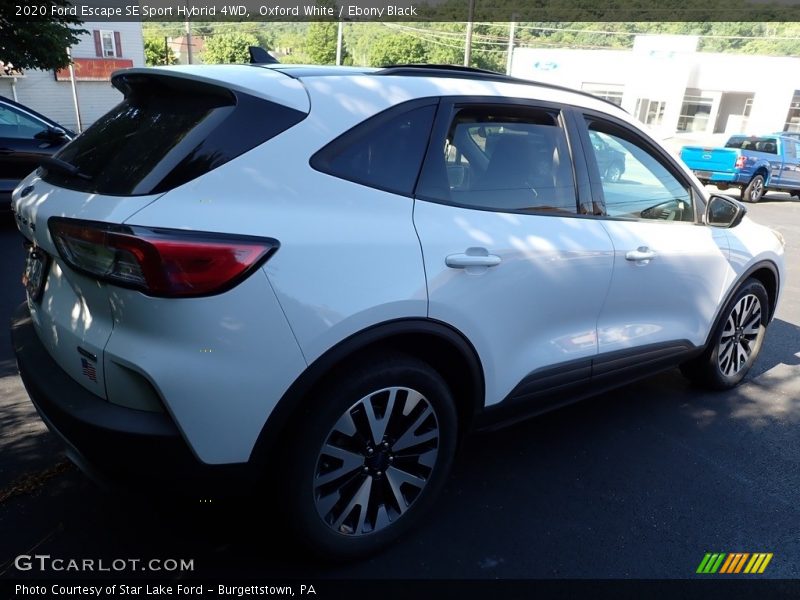 Oxford White / Ebony Black 2020 Ford Escape SE Sport Hybrid 4WD