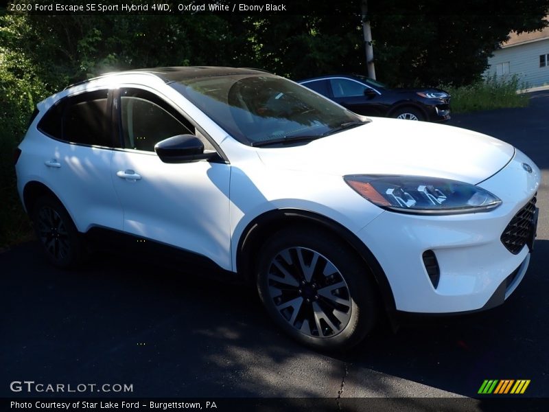 Oxford White / Ebony Black 2020 Ford Escape SE Sport Hybrid 4WD
