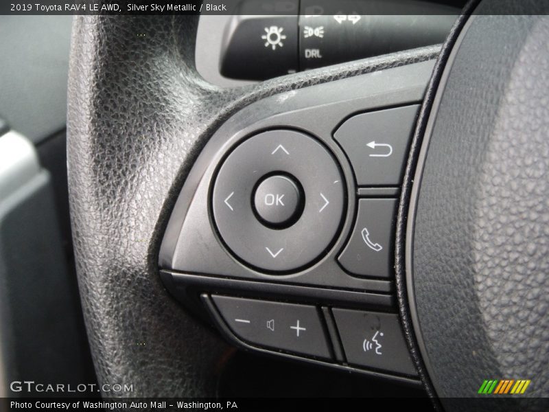 Silver Sky Metallic / Black 2019 Toyota RAV4 LE AWD