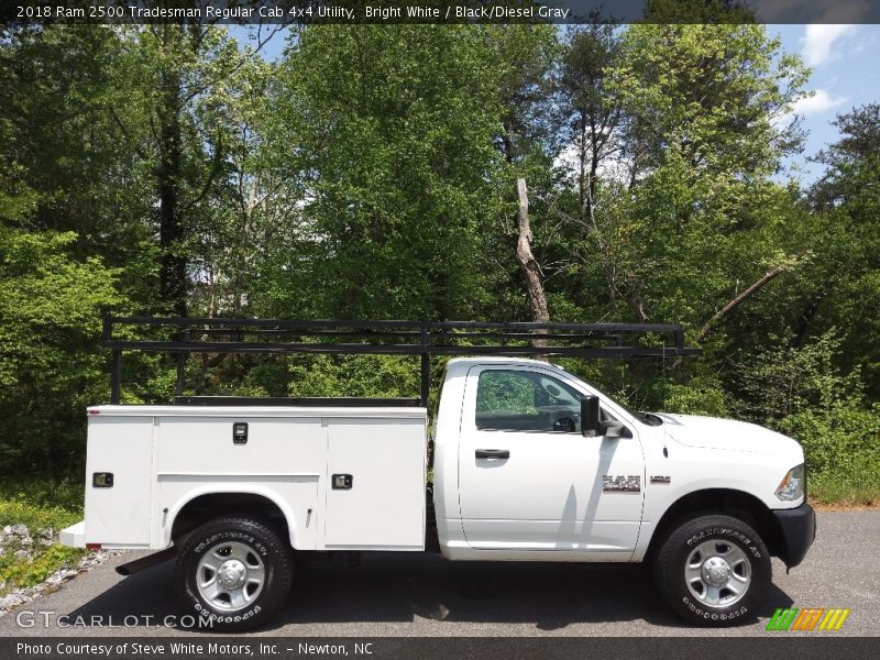 Bright White / Black/Diesel Gray 2018 Ram 2500 Tradesman Regular Cab 4x4 Utility