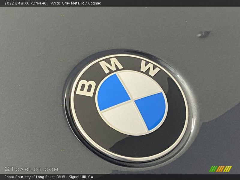 Arctic Gray Metallic / Cognac 2022 BMW X6 xDrive40i