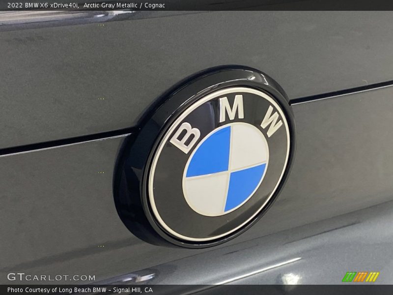 Arctic Gray Metallic / Cognac 2022 BMW X6 xDrive40i