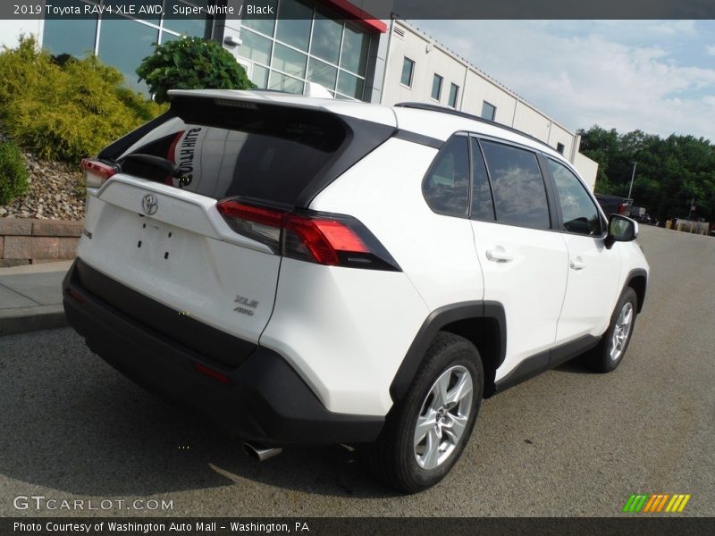 Super White / Black 2019 Toyota RAV4 XLE AWD