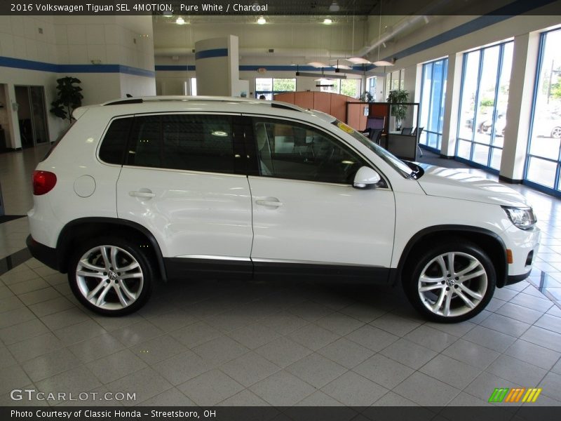 Pure White / Charcoal 2016 Volkswagen Tiguan SEL 4MOTION