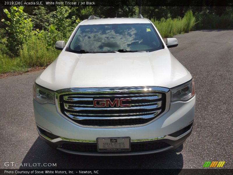 White Frost Tricoat / Jet Black 2019 GMC Acadia SLE