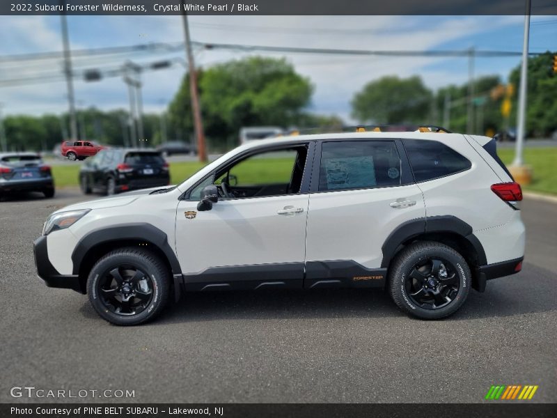 Crystal White Pearl / Black 2022 Subaru Forester Wilderness