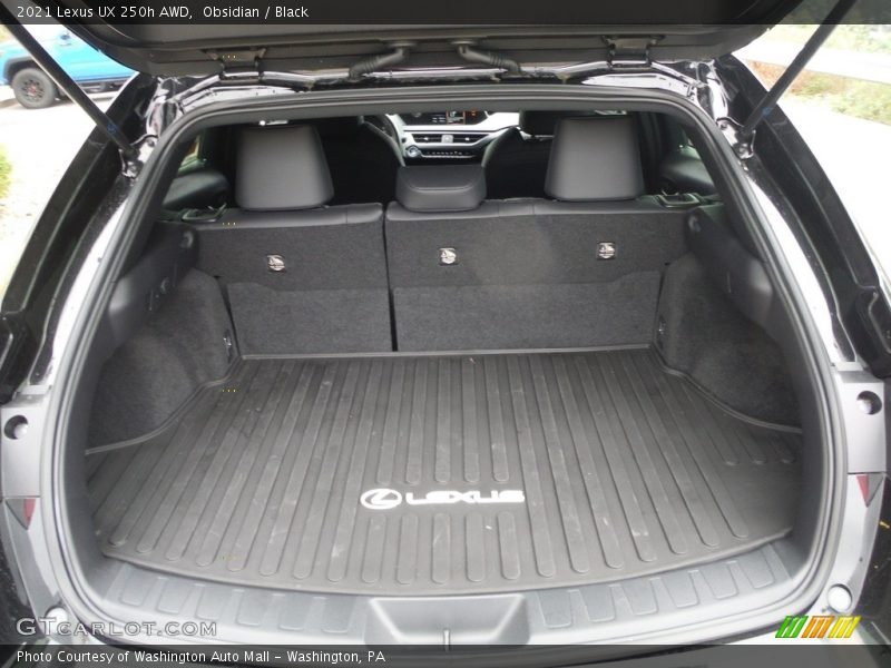  2021 UX 250h AWD Trunk
