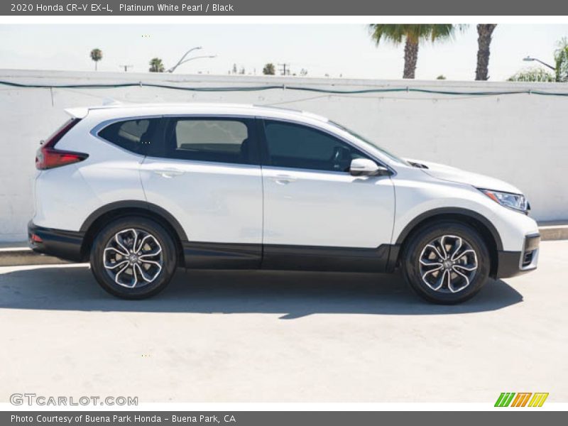 Platinum White Pearl / Black 2020 Honda CR-V EX-L