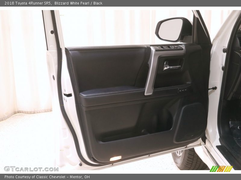 Door Panel of 2018 4Runner SR5