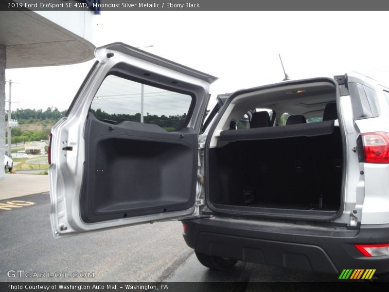 Moondust Silver Metallic / Ebony Black 2019 Ford EcoSport SE 4WD