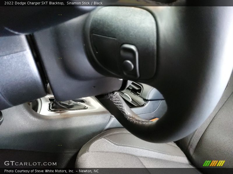 Sinamon Stick / Black 2022 Dodge Charger SXT Blacktop