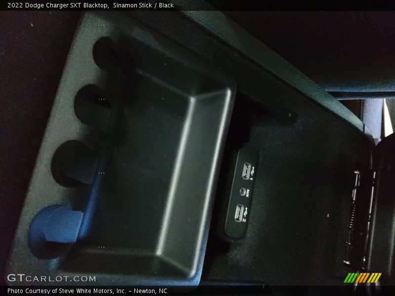 Sinamon Stick / Black 2022 Dodge Charger SXT Blacktop
