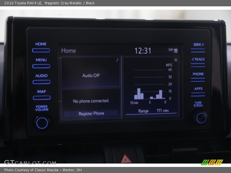 Magnetic Gray Metallic / Black 2019 Toyota RAV4 LE