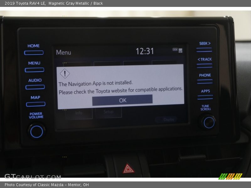 Magnetic Gray Metallic / Black 2019 Toyota RAV4 LE
