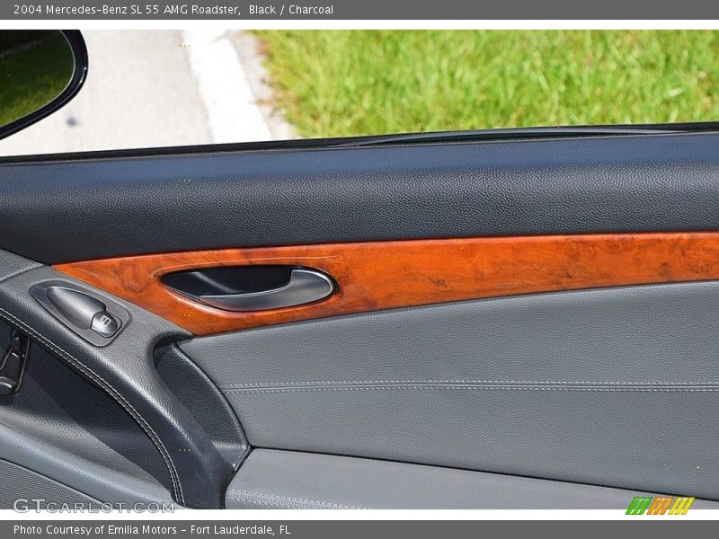 Door Panel of 2004 SL 55 AMG Roadster