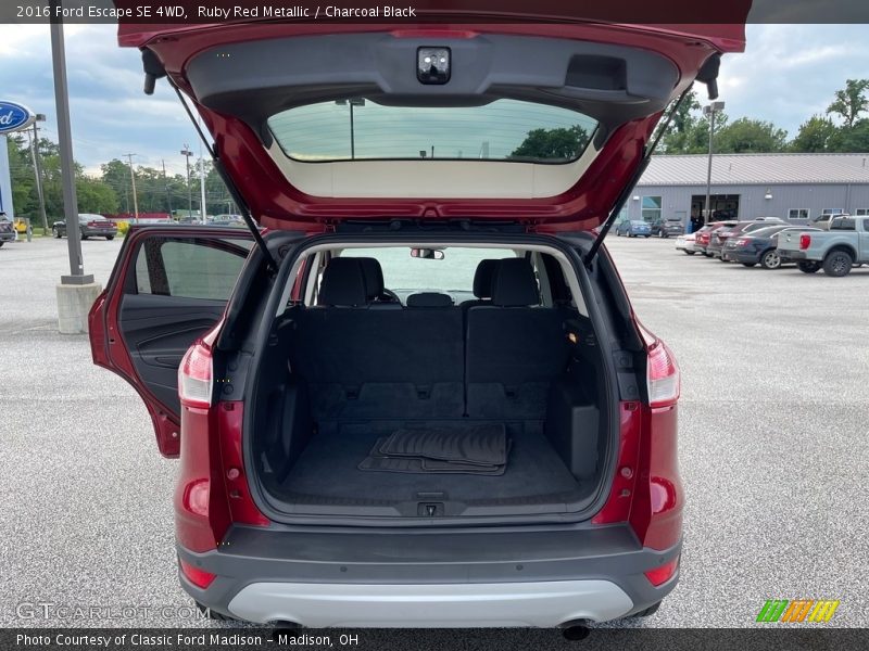 Ruby Red Metallic / Charcoal Black 2016 Ford Escape SE 4WD