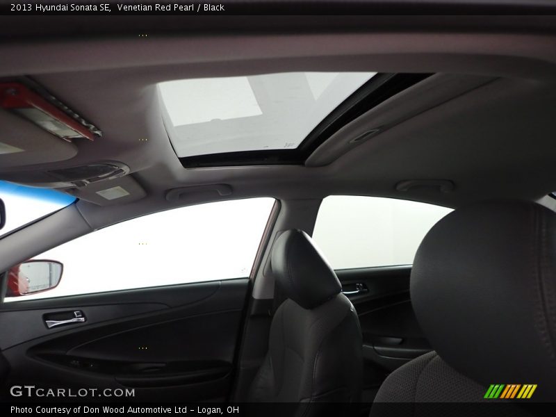 Venetian Red Pearl / Black 2013 Hyundai Sonata SE
