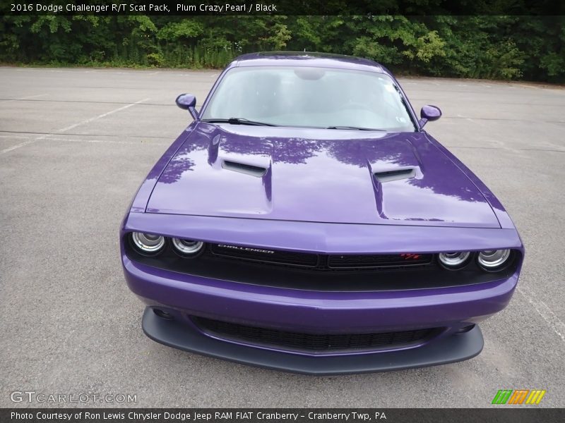 Plum Crazy Pearl / Black 2016 Dodge Challenger R/T Scat Pack