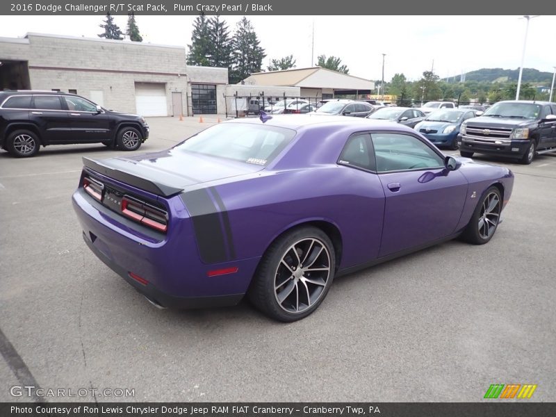 Plum Crazy Pearl / Black 2016 Dodge Challenger R/T Scat Pack
