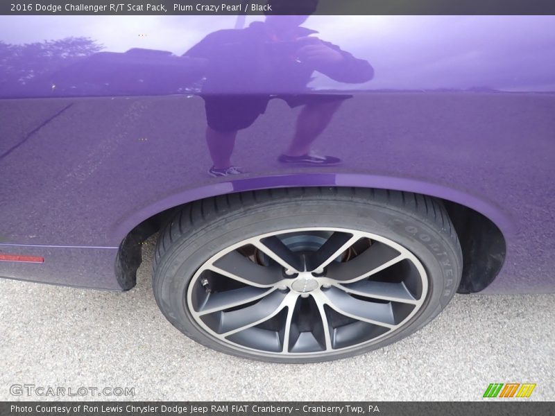 Plum Crazy Pearl / Black 2016 Dodge Challenger R/T Scat Pack