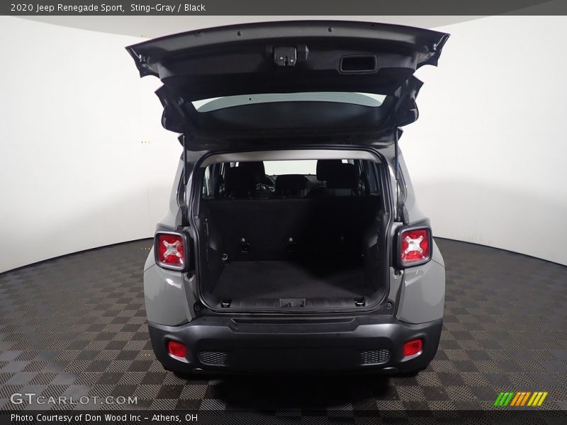 Sting-Gray / Black 2020 Jeep Renegade Sport