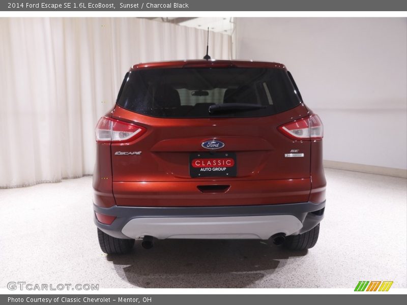 Sunset / Charcoal Black 2014 Ford Escape SE 1.6L EcoBoost