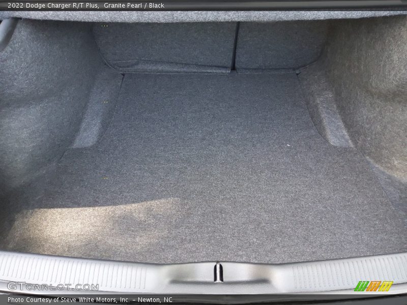 Granite Pearl / Black 2022 Dodge Charger R/T Plus