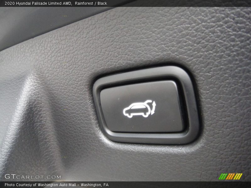 Rainforest / Black 2020 Hyundai Palisade Limited AWD