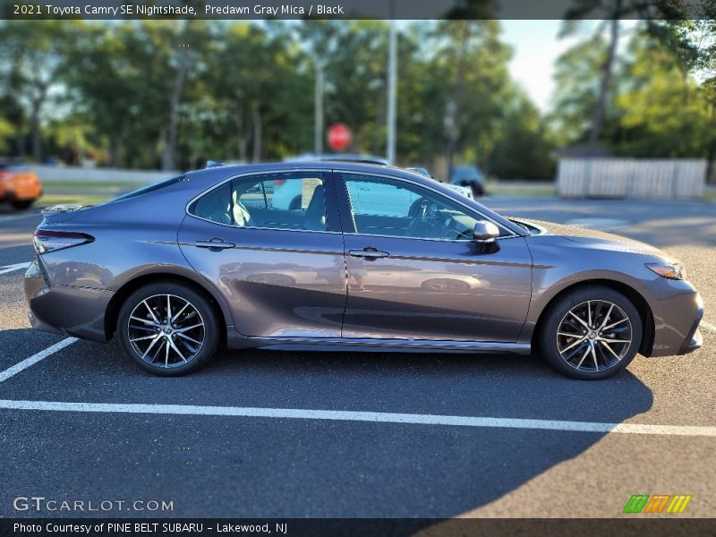 Predawn Gray Mica / Black 2021 Toyota Camry SE Nightshade