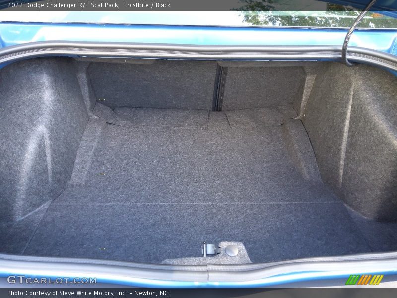Frostbite / Black 2022 Dodge Challenger R/T Scat Pack
