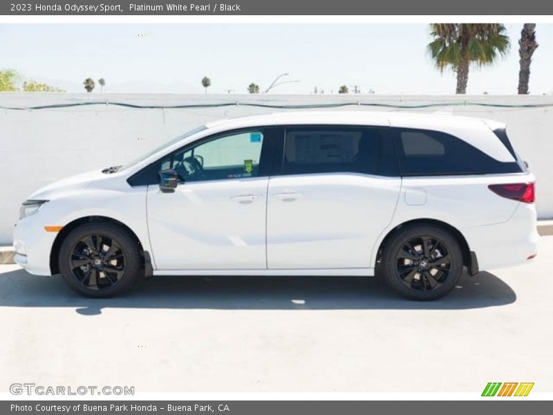  2023 Odyssey Sport Platinum White Pearl