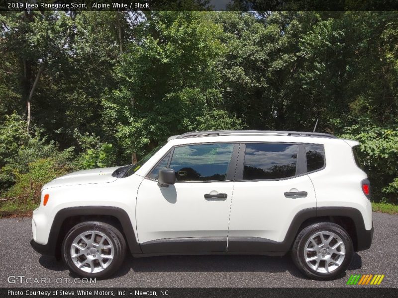 Alpine White / Black 2019 Jeep Renegade Sport