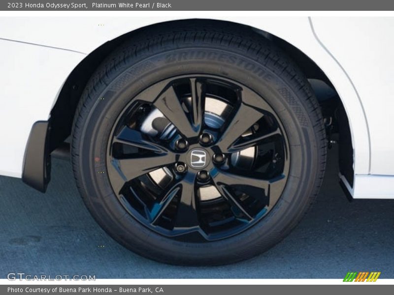  2023 Odyssey Sport Wheel