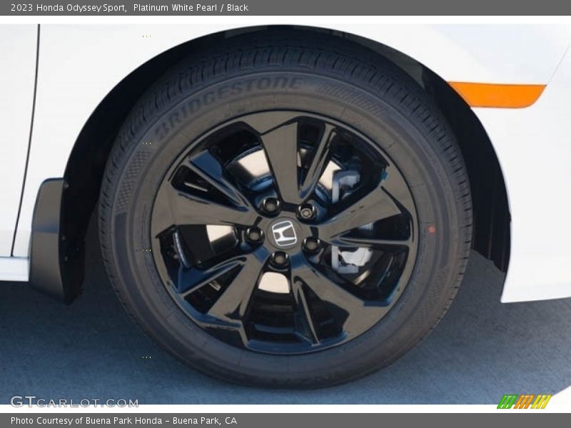  2023 Odyssey Sport Wheel