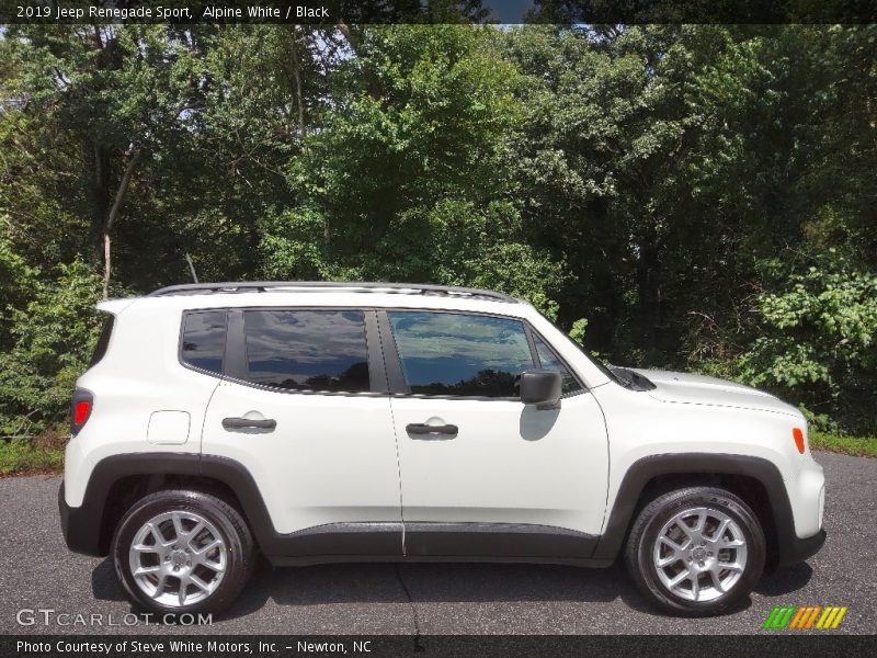 Alpine White / Black 2019 Jeep Renegade Sport