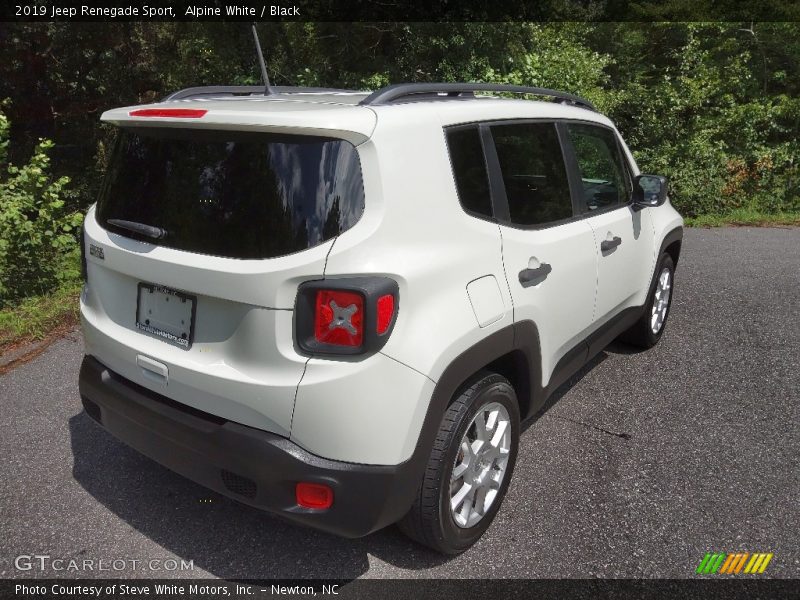 Alpine White / Black 2019 Jeep Renegade Sport