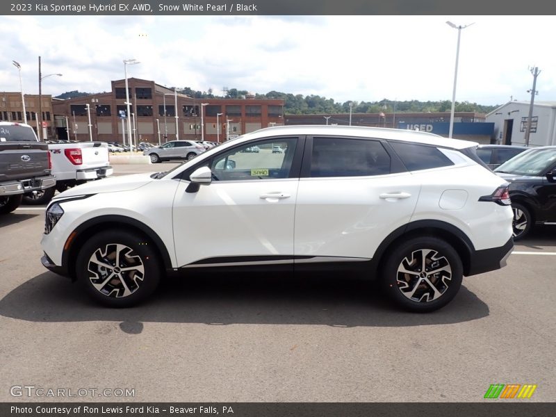  2023 Sportage Hybrid EX AWD Snow White Pearl