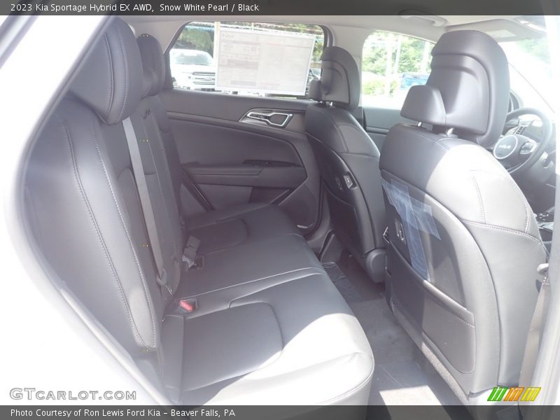 Rear Seat of 2023 Sportage Hybrid EX AWD