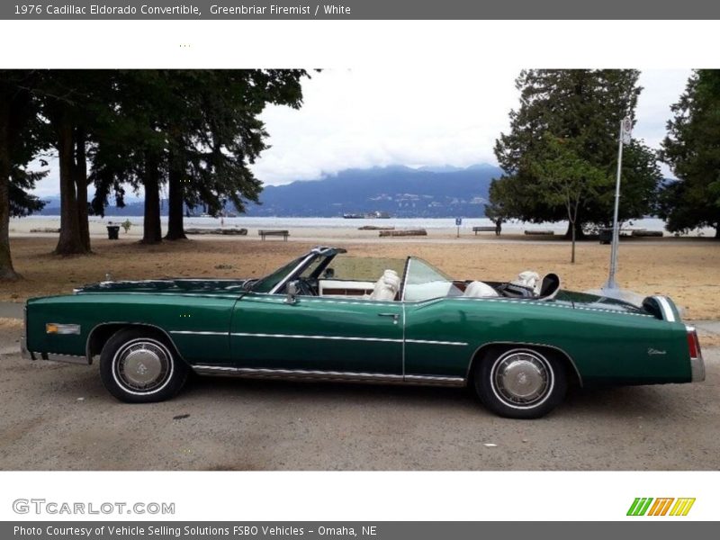  1976 Eldorado Convertible Greenbriar Firemist