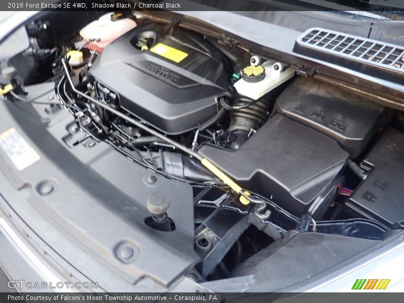 Shadow Black / Charcoal Black 2016 Ford Escape SE 4WD