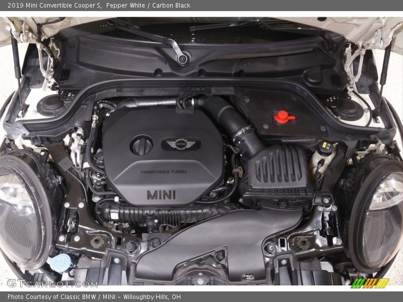 Pepper White / Carbon Black 2019 Mini Convertible Cooper S