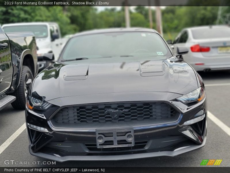Shadow Black / Ebony 2019 Ford Mustang EcoBoost Fastback