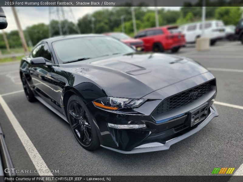 Shadow Black / Ebony 2019 Ford Mustang EcoBoost Fastback