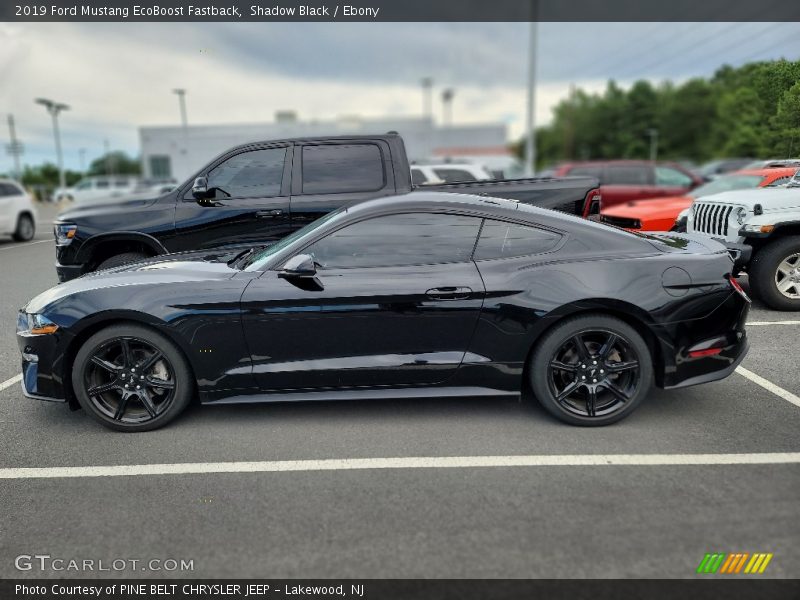  2019 Mustang EcoBoost Fastback Shadow Black