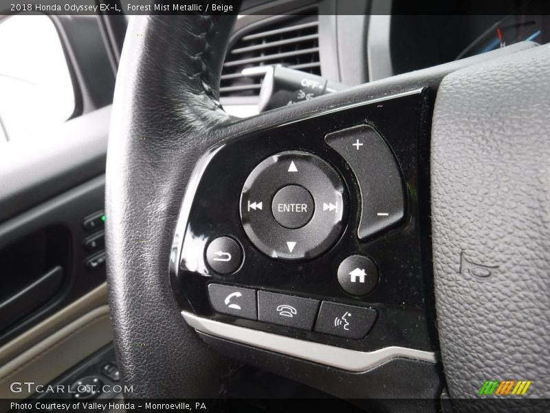 Forest Mist Metallic / Beige 2018 Honda Odyssey EX-L