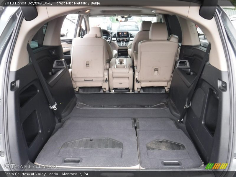 Forest Mist Metallic / Beige 2018 Honda Odyssey EX-L