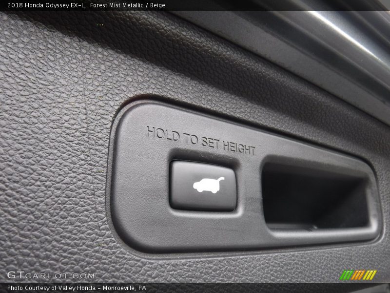Forest Mist Metallic / Beige 2018 Honda Odyssey EX-L