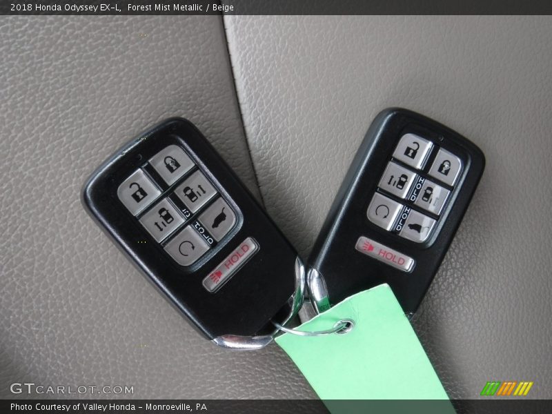 Forest Mist Metallic / Beige 2018 Honda Odyssey EX-L