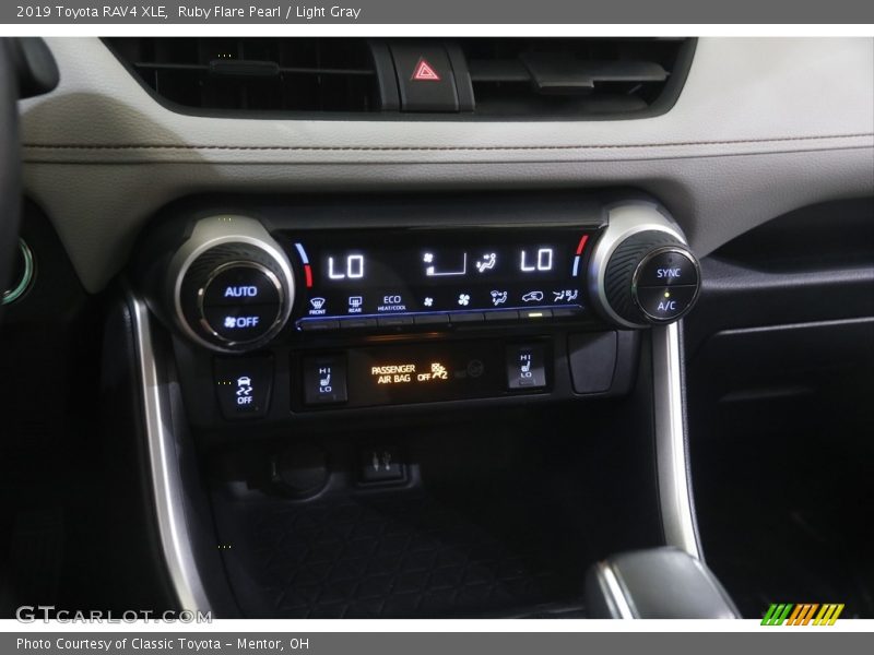 Ruby Flare Pearl / Light Gray 2019 Toyota RAV4 XLE